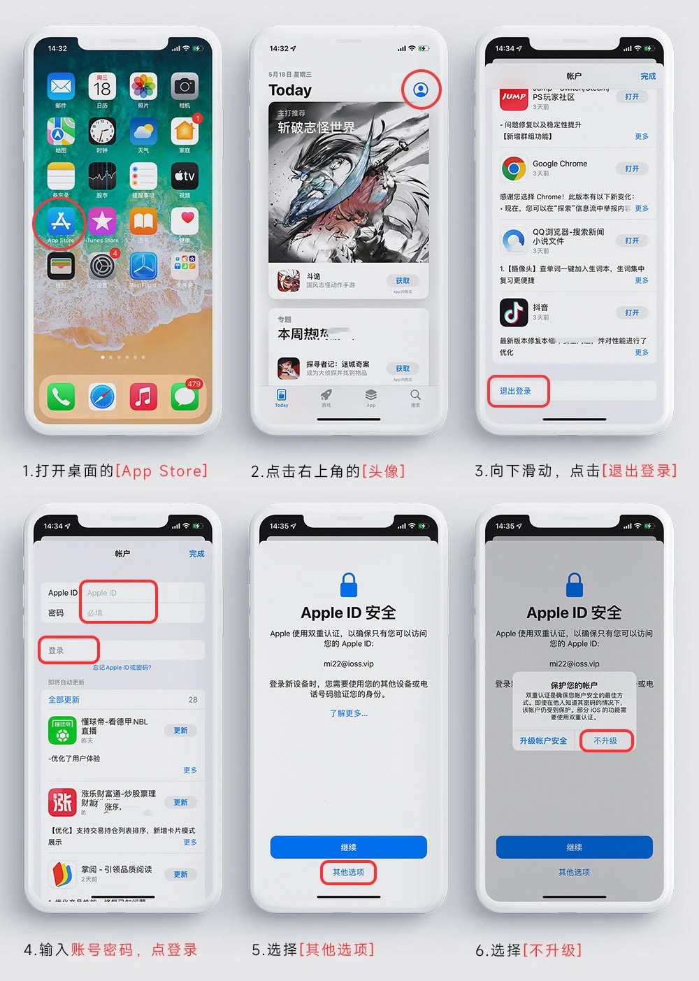 App Store 登录示意图（iOS 24.6 以下）
